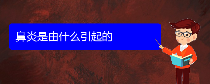 (貴陽(yáng)治療鼻炎選哪家醫(yī)院好)鼻炎是由什么引起的(圖1)