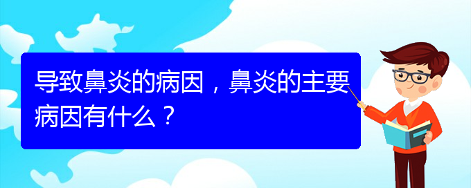 (貴陽過敏性鼻炎怎么治療好)導致鼻炎的病因，鼻炎的主要病因有什么？(圖1)