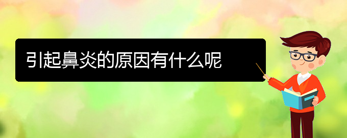 (貴陽治療過敏性鼻炎哪個(gè)醫(yī)院極好)引起鼻炎的原因有什么呢(圖1)