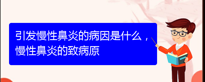 (貴陽中醫(yī)可以看慢性鼻炎嗎)引發(fā)慢性鼻炎的病因是什么，慢性鼻炎的致病原(圖1)