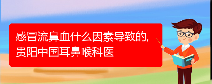 感冒流鼻血什么因素導致的,貴陽中國耳鼻喉科醫(yī)(圖1)