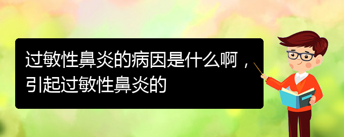 (貴州什么醫(yī)院治療過(guò)敏性鼻炎)過(guò)敏性鼻炎的病因是什么啊，引起過(guò)敏性鼻炎的(圖1)