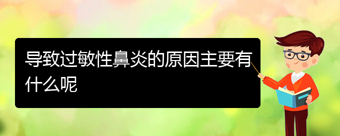 (貴陽治療過敏性鼻炎的權(quán)威醫(yī)院)導(dǎo)致過敏性鼻炎的原因主要有什么呢(圖1)