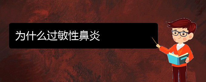 (貴州治過敏性鼻炎?？漆t(yī)院)為什么過敏性鼻炎(圖1)