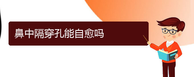 (貴陽哪看鼻中隔偏曲好)鼻中隔穿孔能自愈嗎(圖1)