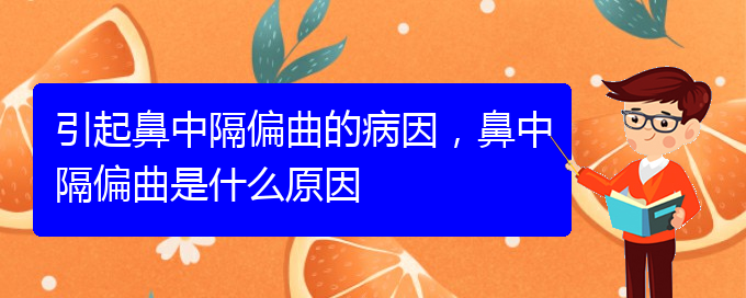 (貴陽比較好的治療鼻中隔偏曲的醫(yī)院)引起鼻中隔偏曲的病因，鼻中隔偏曲是什么原因(圖1)