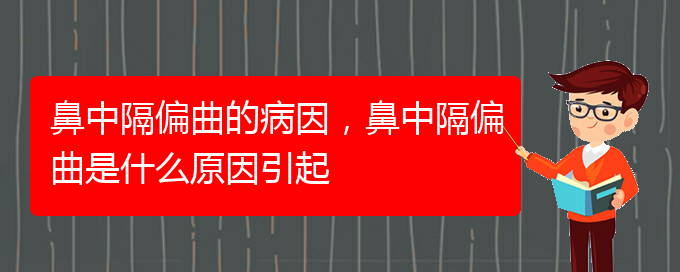 (貴陽治療鼻中隔偏曲醫(yī)院)鼻中隔偏曲的病因，鼻中隔偏曲是什么原因引起(圖1)