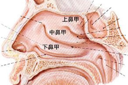 　治療鼻息肉的常用方法有哪些?貴陽(yáng)耳鼻喉醫(yī)院前十名