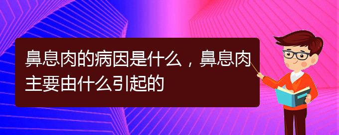 (貴陽(yáng)鼻息肉治療哪家好)鼻息肉的病因是什么，鼻息肉主要由什么引起的(圖1)