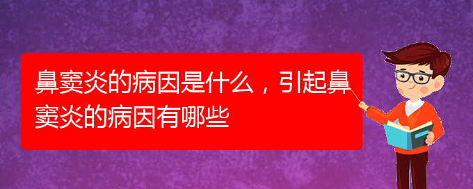 (治鼻竇炎貴陽哪家醫(yī)院好)鼻竇炎的病因是什么，引起鼻竇炎的病因有哪些(圖1)