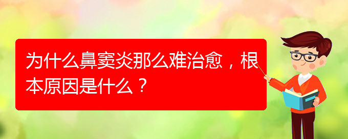 (貴陽(yáng)治療鼻竇炎要多少費(fèi)用)為什么鼻竇炎那么難治愈，根本原因是什么？(圖1)