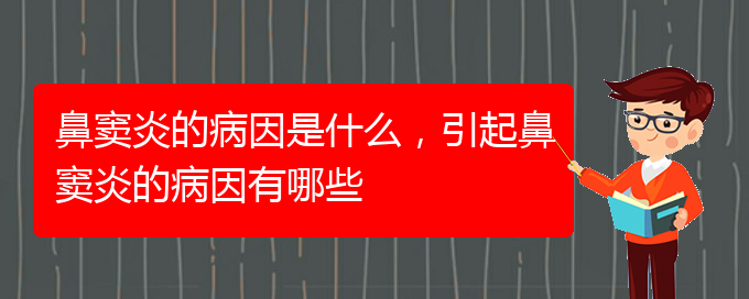 (治鼻竇炎貴陽哪家醫(yī)院好)鼻竇炎的病因是什么，引起鼻竇炎的病因有哪些(圖1)