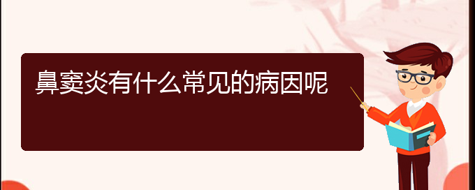 (貴陽治鼻竇炎最好的醫(yī)院在哪里)鼻竇炎有什么常見的病因呢(圖1)