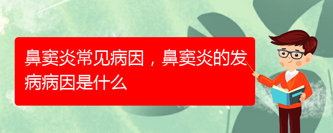 (貴陽治療鼻竇炎的醫(yī)院是哪家)鼻竇炎常見病因，鼻竇炎的發(fā)病病因是什么(圖1)