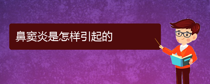 (貴陽(yáng)附近那個(gè)醫(yī)院看鼻竇炎好)鼻竇炎是怎樣引起的(圖1)