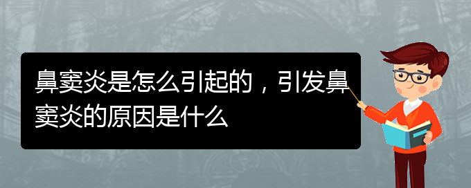 (鼻竇炎治療醫(yī)院貴陽)鼻竇炎是怎么引起的，引發(fā)鼻竇炎的原因是什么(圖1)