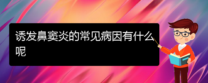 (貴陽哪里治療鼻竇炎比較好)誘發(fā)鼻竇炎的常見病因有什么呢(圖1)